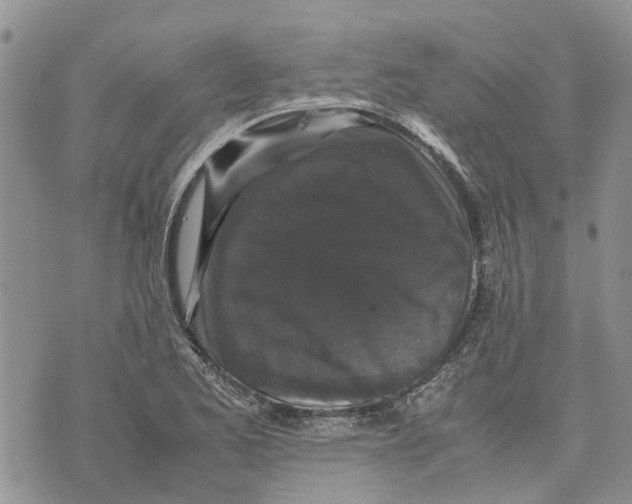 X0000070251173200606301618