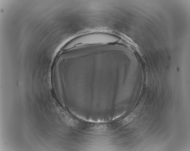 X0000070251174200606301618