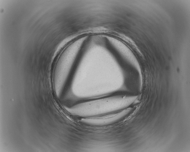 X0000070251176200606301618