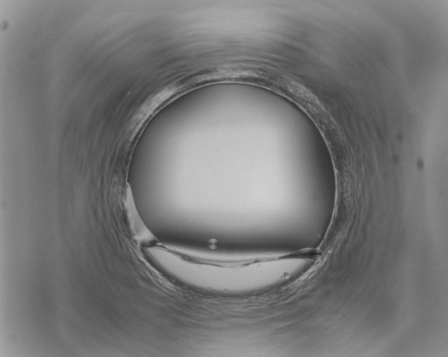 X0000070251177200606301618