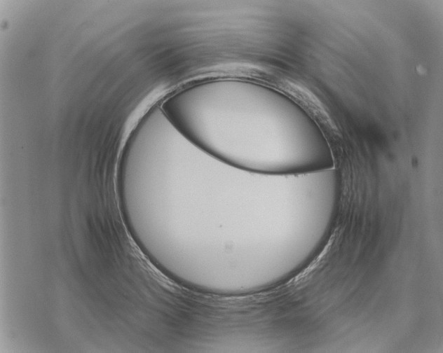 X0000070251180200606301618