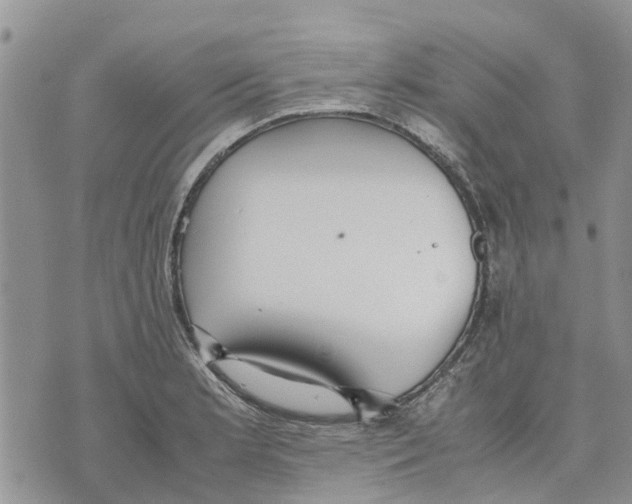 X0000070251181200606301618