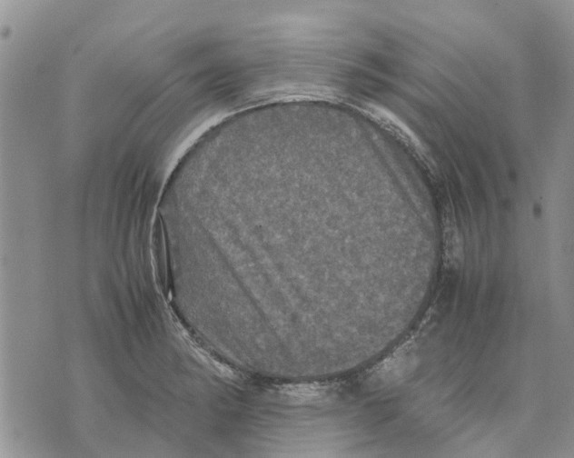 X0000070251182200606301618