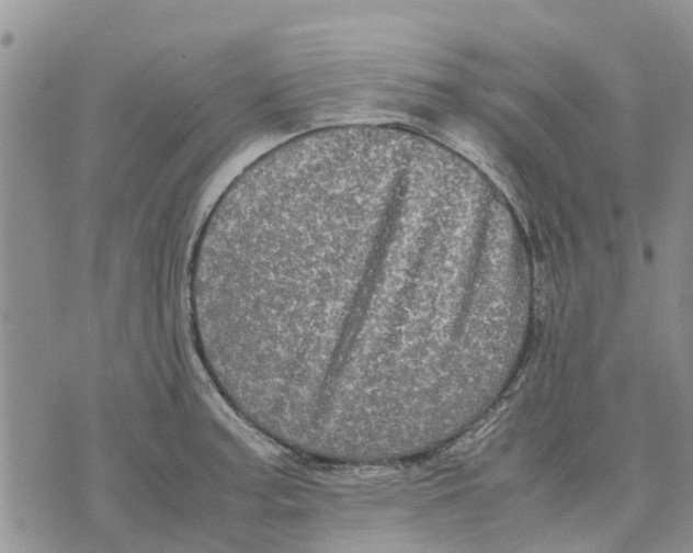 X0000070251187200606301618