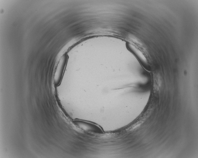 X0000070251188200606301618