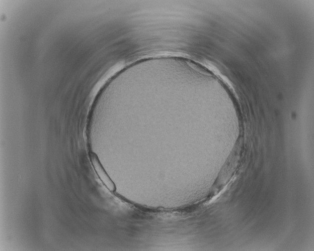 X0000070251189200606301618