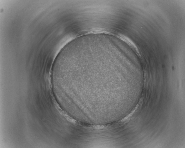 X0000070251190200606301618