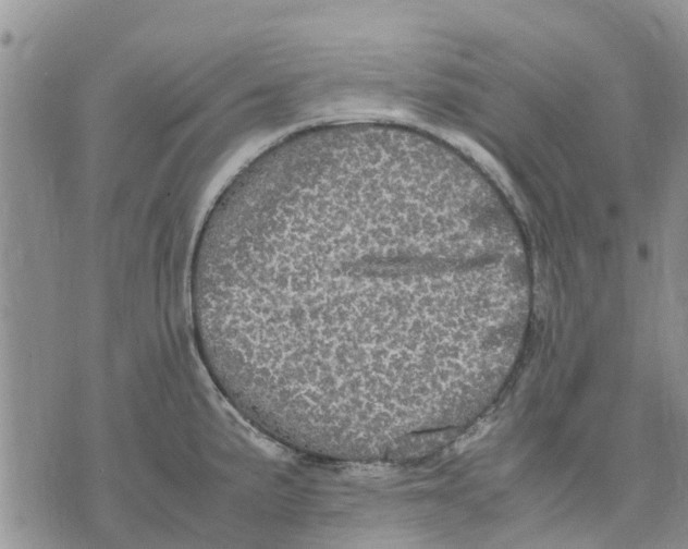 X0000070251191200606301618