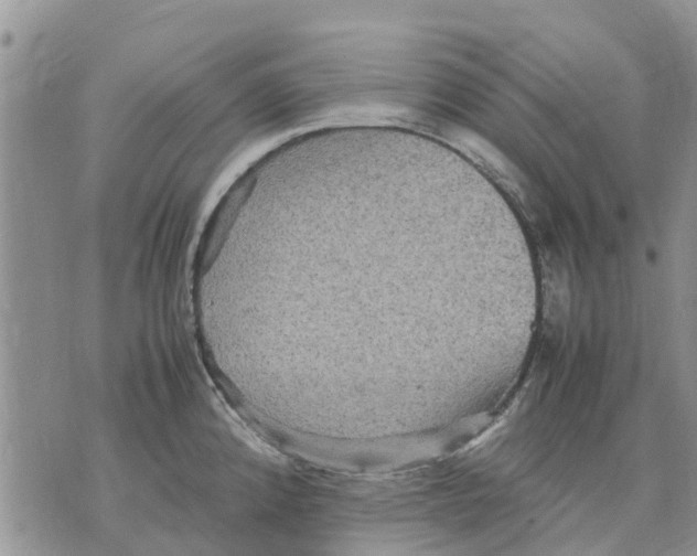 X0000070251192200606301618