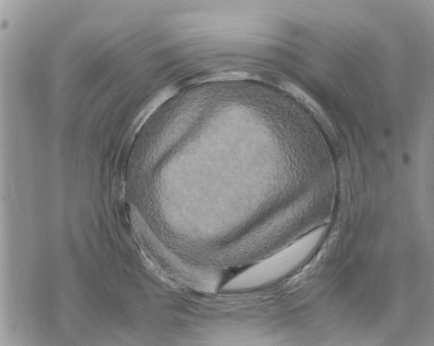 X0000070251193200606301618