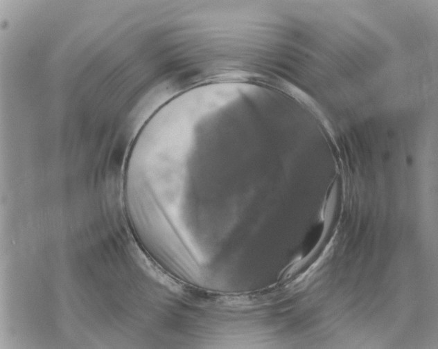 X0000070251194200606301618