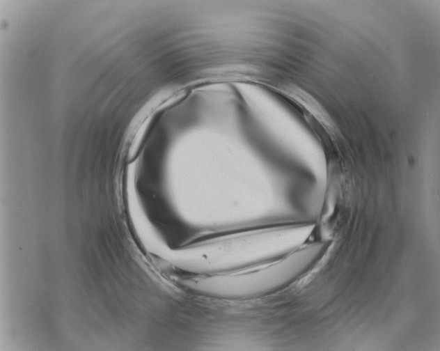 X0000070251196200606301618