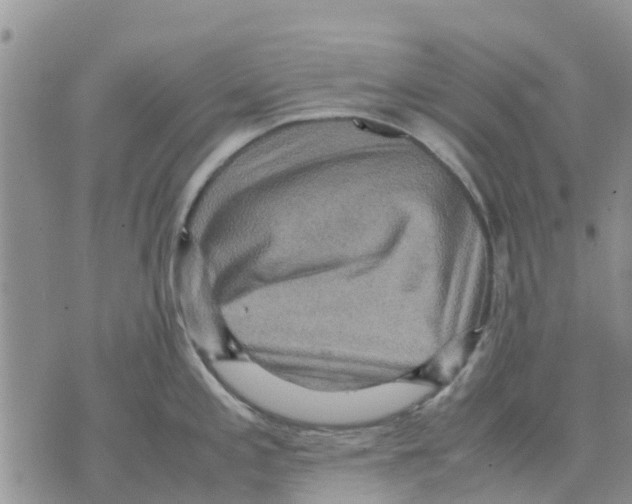 X0000070251197200606301618