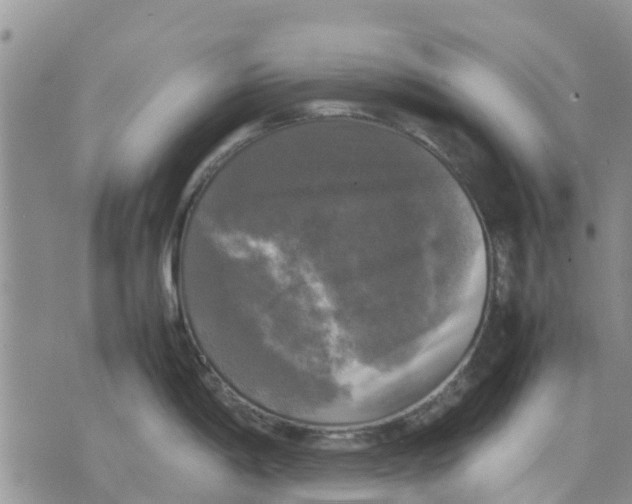 X0000070251198200606301618