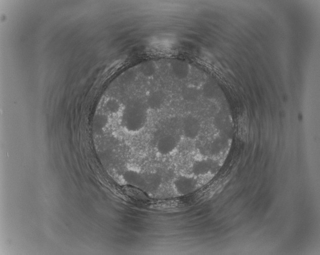 X0000070251201200606301617