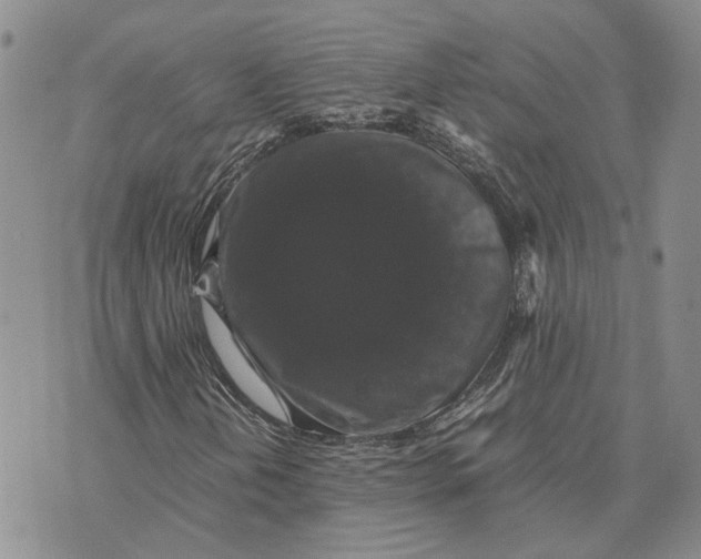 X0000070251202200606301617