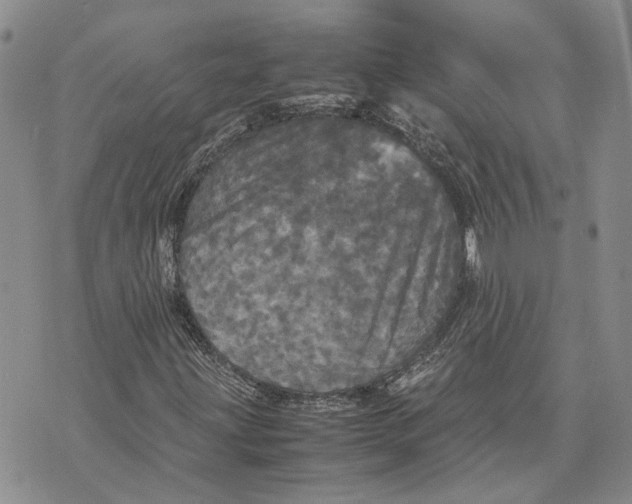 X0000070251203200606301617