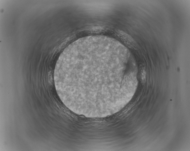 X0000070251204200606301617