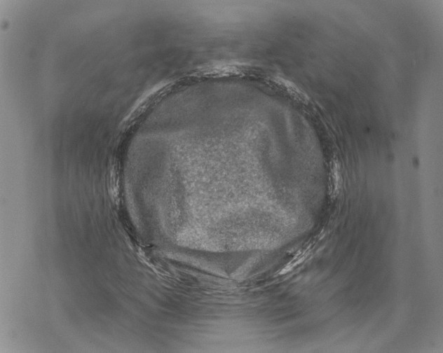 X0000070251206200606301617