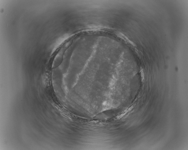 X0000070251208200606301617