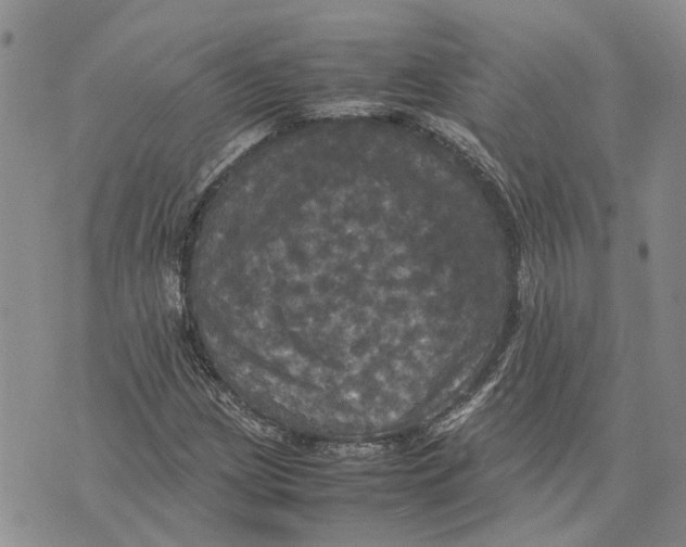 X0000070251209200606301617