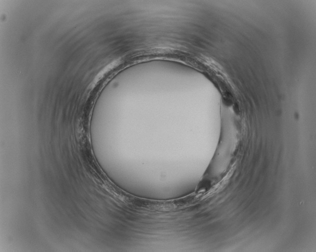 X0000070251210200606301617