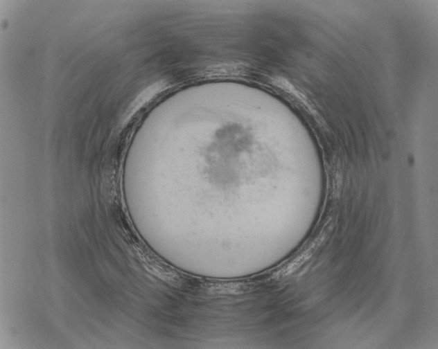 X0000070251211200606301617