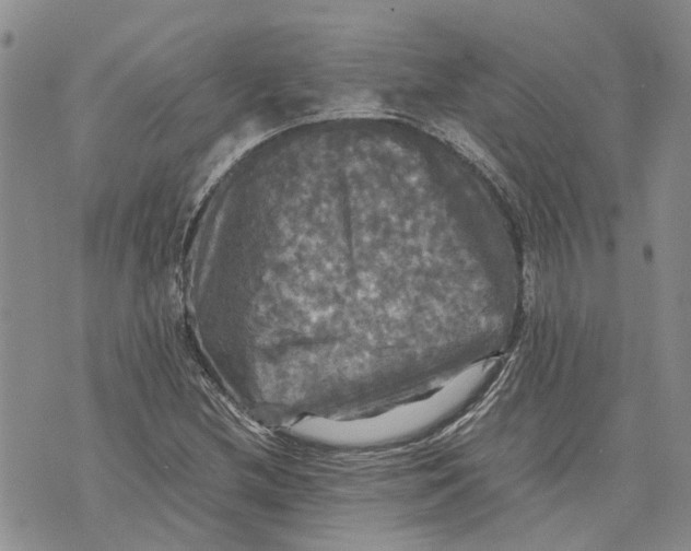 X0000070251212200606301617