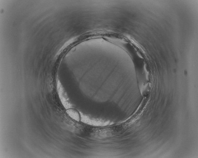 X0000070251213200606301617