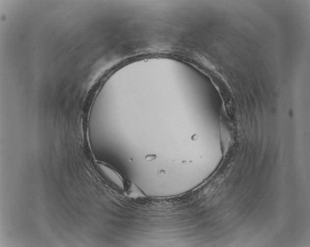 X0000070251214200606301617