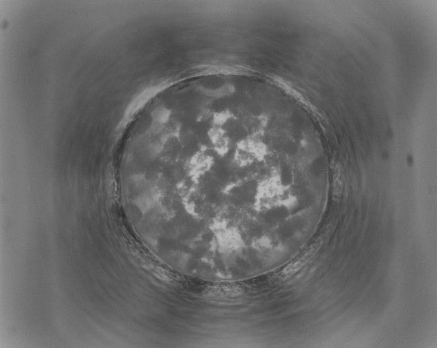 X0000070251215200606301617