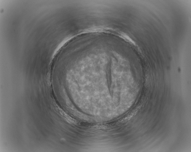 X0000070251216200606301617