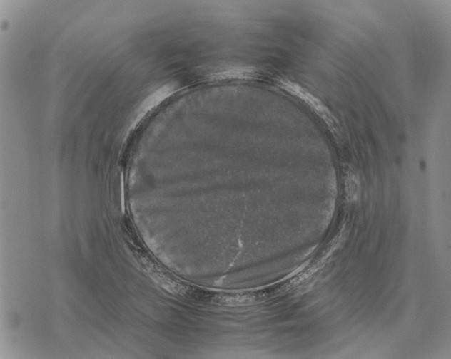 X0000070251219200606301617