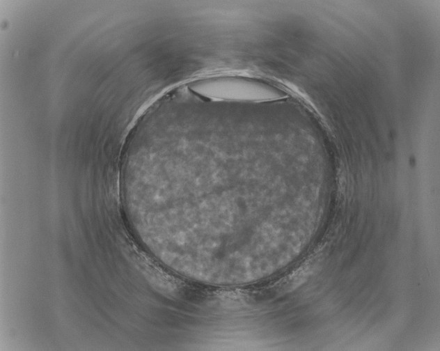 X0000070251220200606301617