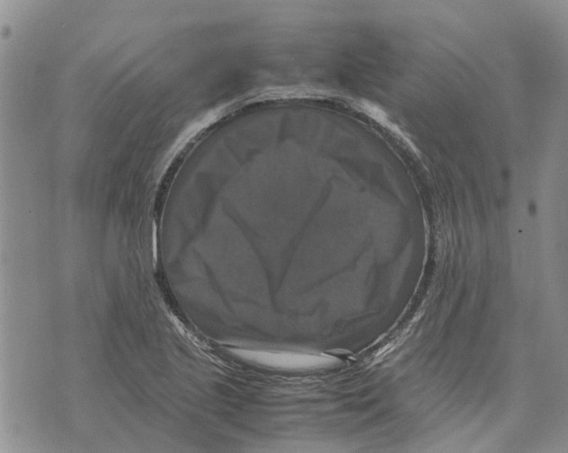 X0000070251221200606301617