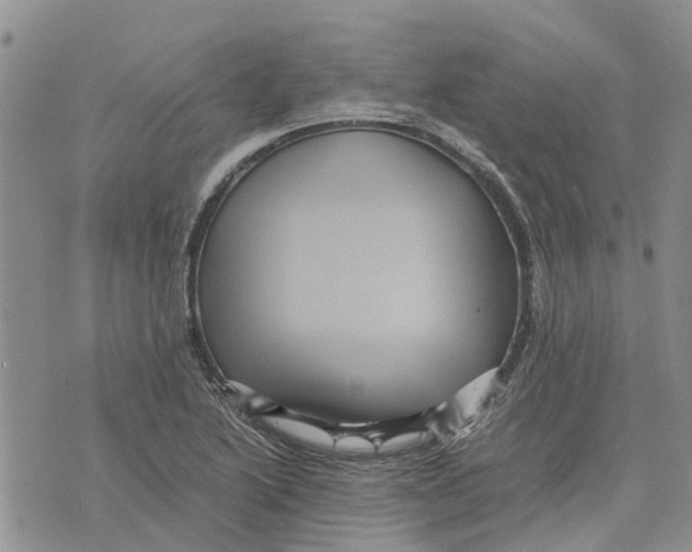 X0000070251222200606301617