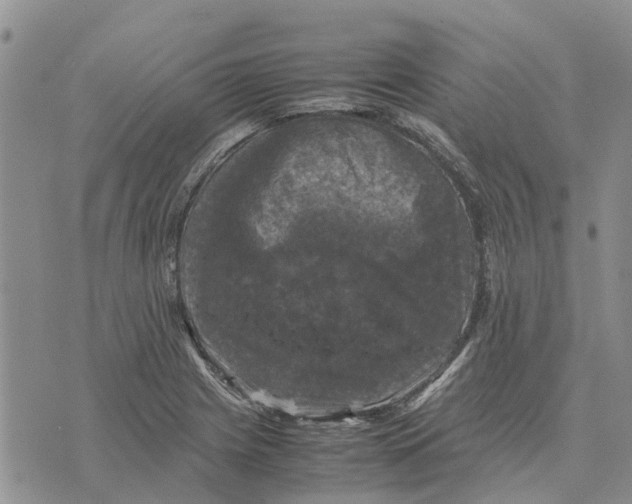 X0000070251225200606301617