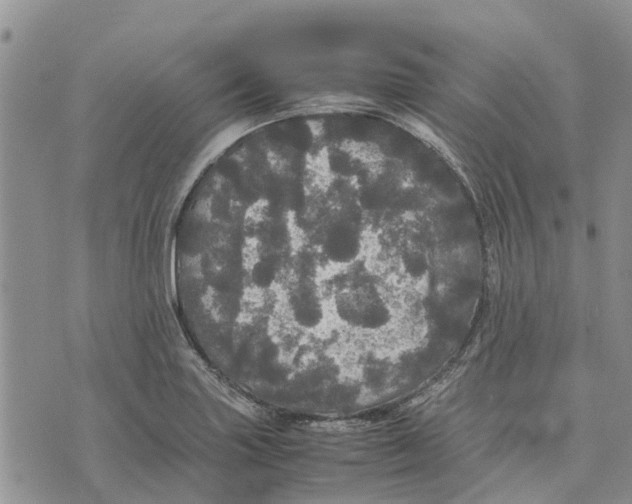 X0000070251227200606301617