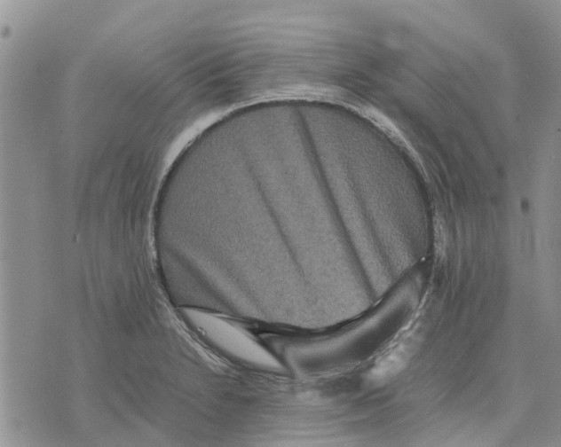 X0000070251230200606301618