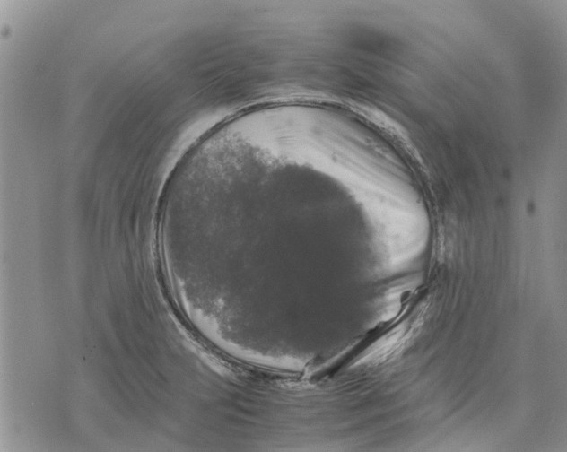 X0000070251231200606301618