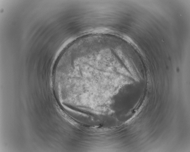 X0000070251232200606301618