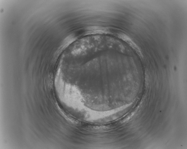 X0000070251233200606301618