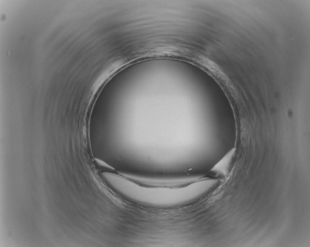 X0000070251234200606301618