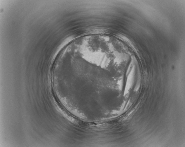 X0000070251235200606301618