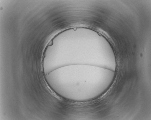 X0000070251236200606301618