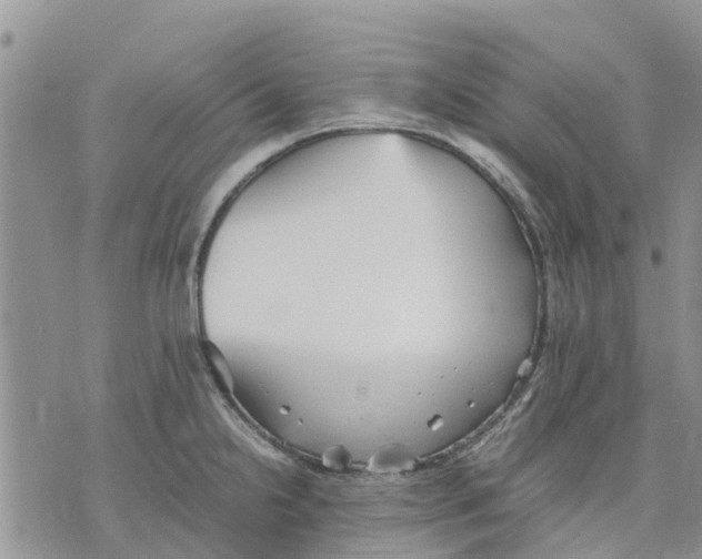 X0000070251238200606301618