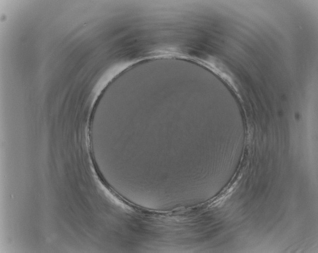 X0000070251239200606301618