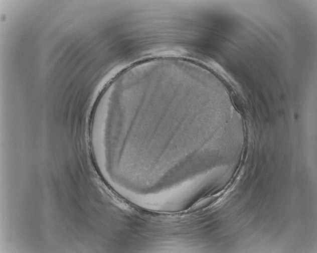 X0000070251240200606301618