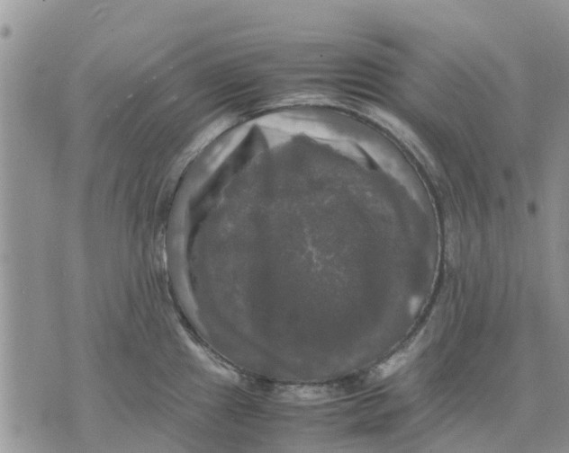 X0000070251241200606301618