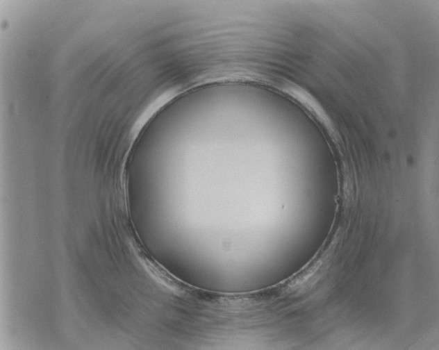 X0000070251242200606301618